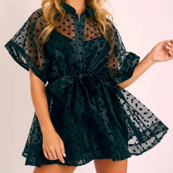 NWT Polka Dot Chiffon Sheer Mini Dress S:Sm-Med - Picture 3 of 10